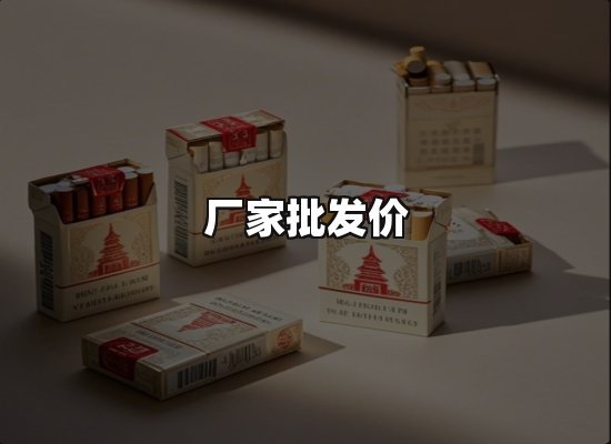 专业优势